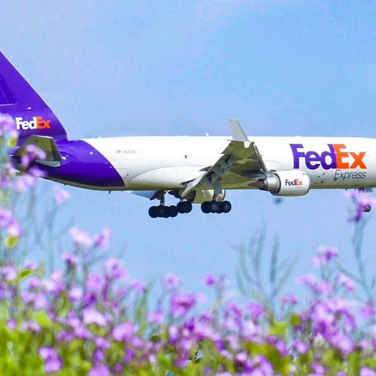 FedEx國際快遞官網